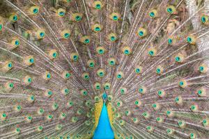 Galería fotográfica de Villa Beldi en Essaouira