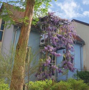 a wreath of purple flowers on the side of a house at Hotel Mariahilf München in Munich