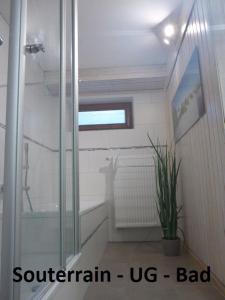 a bathroom with a glass shower and a plant at Ferienwohnungen Lichtblick und Sonneck in Hilpoltstein