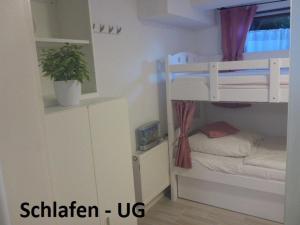 a bedroom with a bunk bed with a potted plant at Ferienwohnungen Lichtblick und Sonneck in Hilpoltstein