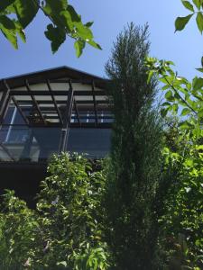Fotografie z fotogalerie ubytování PERGOLA HOUSE IN A GREEN OASIS WITH FANTASTIC VIEW v destinaci Petrovaradin