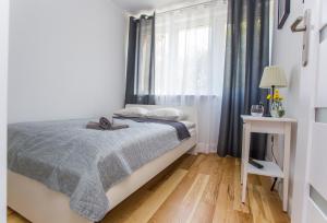 - une chambre avec un lit et une fenêtre dans l'établissement CR Kameralny Apartament przy Pałacu Branickich, à Białystok