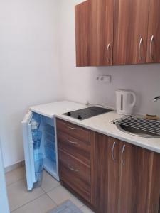 a kitchen with wooden cabinets and a stove top oven at Apartmány pod Landštejnem in Staré Město