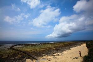 緑島郷にあるLian Chinq Diving B&Bの曇りの日の海沿いの砂浜