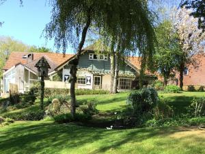 ein Haus mit einem Baum im Hof in der Unterkunft la maison du docteur in Heuvelland