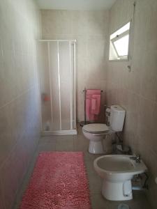 La salle de bains est pourvue de toilettes, d'un lavabo et d'une douche. dans l'établissement Casa Carla, à Guimarães