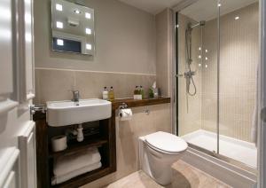 a bathroom with a toilet and a sink and a shower at The Congresbury Arms in Congresbury