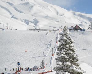 a snow covered ski slope with a christmas tree at Rodas - Las Leñas in Las Lenas