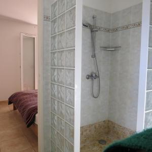 a bathroom with a shower with a shower at villa 8 personnes piscine privée 8RJC12 in Saint-Laurent-de-la-Salanque