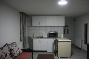 a small kitchen with a counter and a microwave at Apartmani "Babići" in Banja Luka