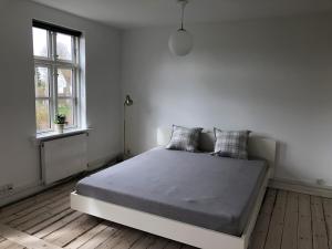 Легло или легла в стая в Kildegaarden