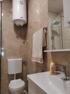 Un baño con inodoro, lavabo y espejo. en Niksin san, en Trebinje