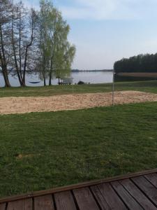 Przyroda w pobliżu tego domku letniskowego