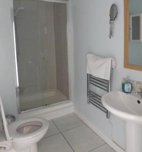 a bathroom with a shower and a toilet and a sink at Seagull's Crest in Camber