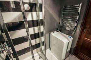 a shower stall in a bathroom with a toilet at Apartament Słoneczna in Zakopane