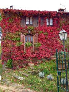 un bâtiment recouvert de lierre rouge et doté d'une fenêtre dans l'établissement Villa del lago, à Barberino di Mugello