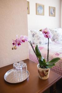 Fotografie z fotogalerie ubytování Karle Hotel v destinaci Vitrupe