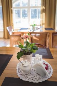 a table with a vase with a plant on it at Guest House Karle in Vitrupe