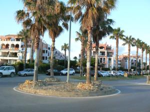 a group of palm trees in a parking lot at BONITO APARTAMENTO EN ZAHARA DE LOS ATUNES in Zahara de los Atunes