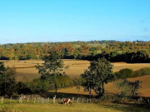 Afbeelding uit fotogalerij van Bond's Cottage Barn in Royal Tunbridge Wells