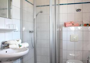 a bathroom with a shower and a sink and a toilet at Landhaus Sonnentau in Johanngeorgenstadt
