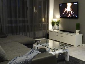 sala de estar con sofá y TV en Santa Cruz Luxury Low-Cost Apartment with Terrace & Views, en Santa Cruz de Tenerife