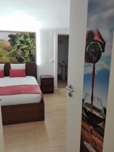 Guesthouse Alentejo في ايفورا: غرفة نوم بسرير ودهان على الحائط