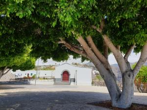 a white building with a red door behind a tree at Casa Angel y Carmen (La Dama, La Gomera) in El Cercado
