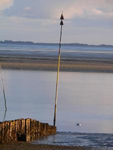 a pole in the water with a flag on it at Seesand in Wittdün