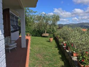 Zahrada ubytování Villa Pera