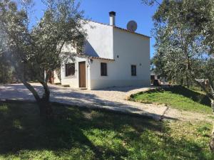 Una casa blanca con un árbol delante. en Casa dos Cavalos, en Sertã