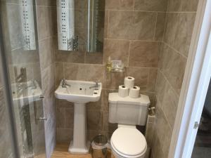 a bathroom with a toilet and a sink at Glenora Guest House in Whitby