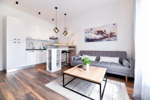 Kuchyňa alebo kuchynka v ubytovaní Serenity Apartment