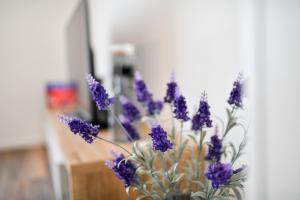 Televízia a/alebo spoločenská miestnosť v ubytovaní Serenity Apartment