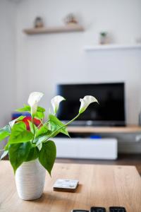 Televízia a/alebo spoločenská miestnosť v ubytovaní Serenity Apartment