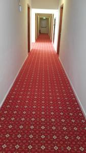 切什梅Grand Yayla Hotel的相册照片