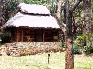 een blokhut met een grasdak en een stenen muur bij Sierraverde cabin Cabaa el Cedro in Damían Carmona