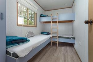 a small room with bunk beds and a ladder at Tuross Beach Cabins & Campsites in Tuross Heads +90 photos