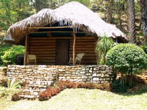 a log cabin with a thatch roof and a stone wall at cabins sierraverde huasteca potosina "cabaña la ceiba" in Damían Carmona