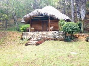 a small log cabin with a thatch roof at cabins sierraverde huasteca potosina "cabaña la ceiba" in Damían Carmona