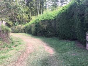 Gallery image of La cabaña del lago Calima in Calima