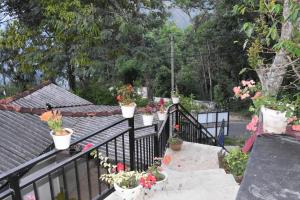 Zahrada ubytování Baagie Homestay