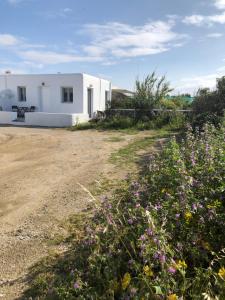 Fotografie z fotogalerie ubytování Giannisasi Mykonos Apartment ve městě Mykonosu