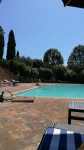 a swimming pool with a person in the water at Appartamento Camelia a Castelfalfi in Montaione