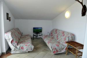 a living room with two chairs and a tv at Apartman Branka in Kornić