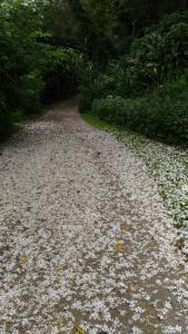 Bilde i galleriet til Haowangjiao Homestay i Tongxiao