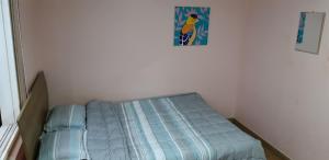 Birdsnest Hostel Hongdae Foreigner only客房内的一张或多张床位