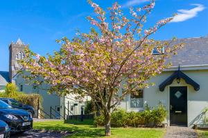 Aed väljaspool majutusasutust An Capall Dubh B&B Dingle