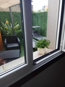 Ogród w obiekcie apartment garden
