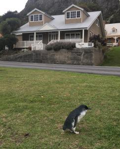 Ospiti di The Ark Stanley Luxury Bed and Breakfast con animali domestici